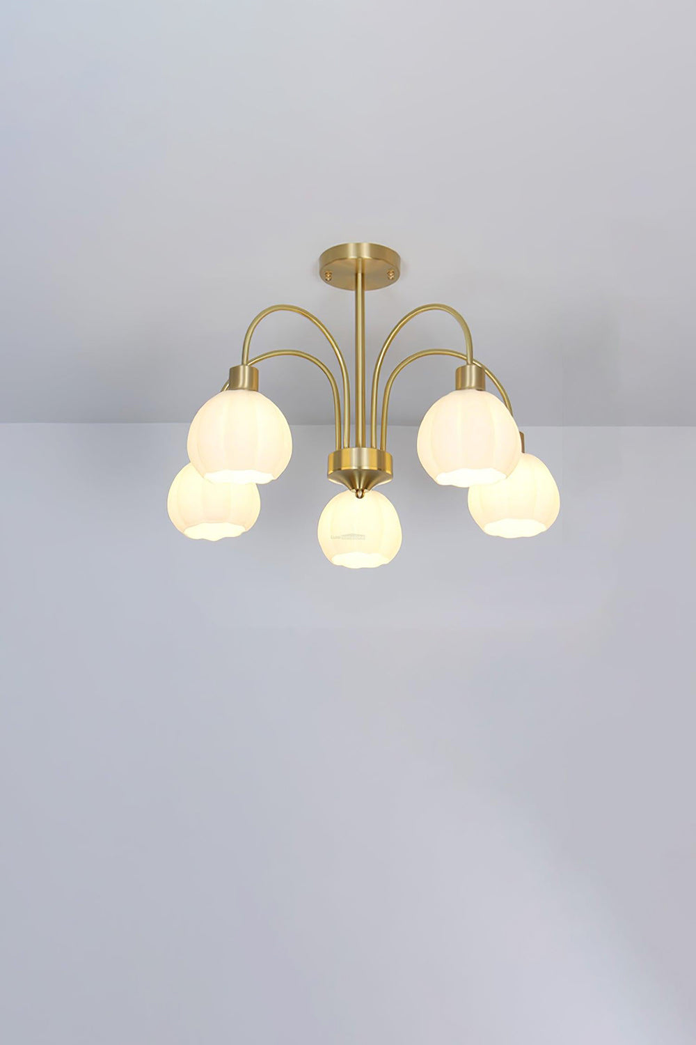 Golden Tulip Pendant Chandelier - view 10 | morylighting