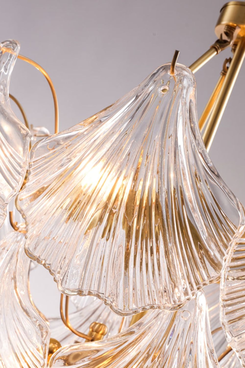 Scallop Shaped Chandelier Light - morylighting