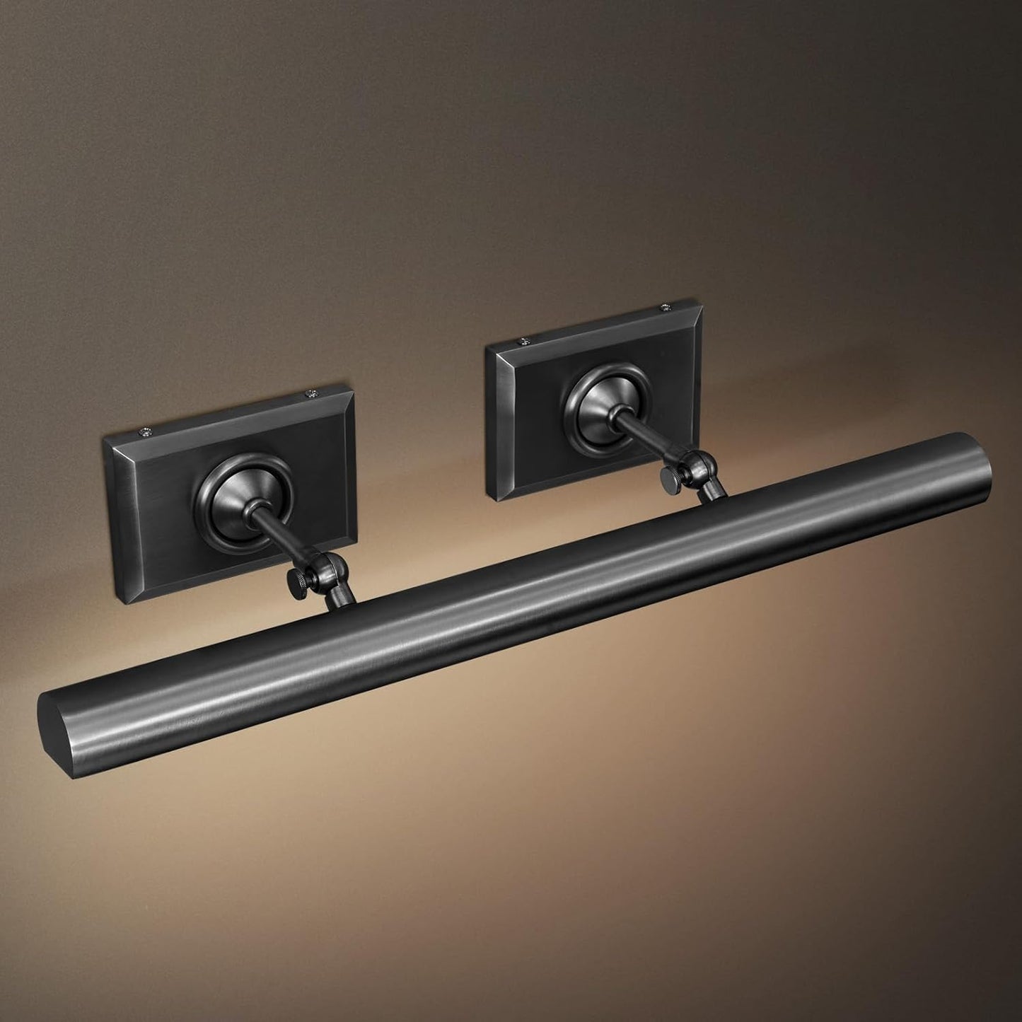 Anite Picture Light