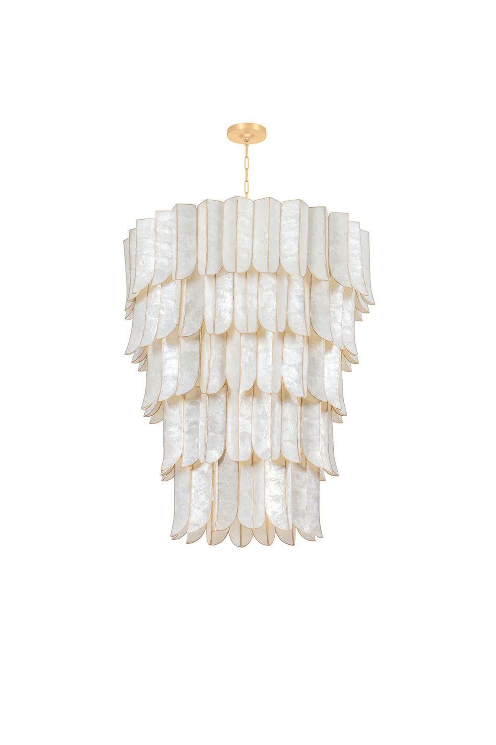 French Retro Shell Chandelier | morylighting