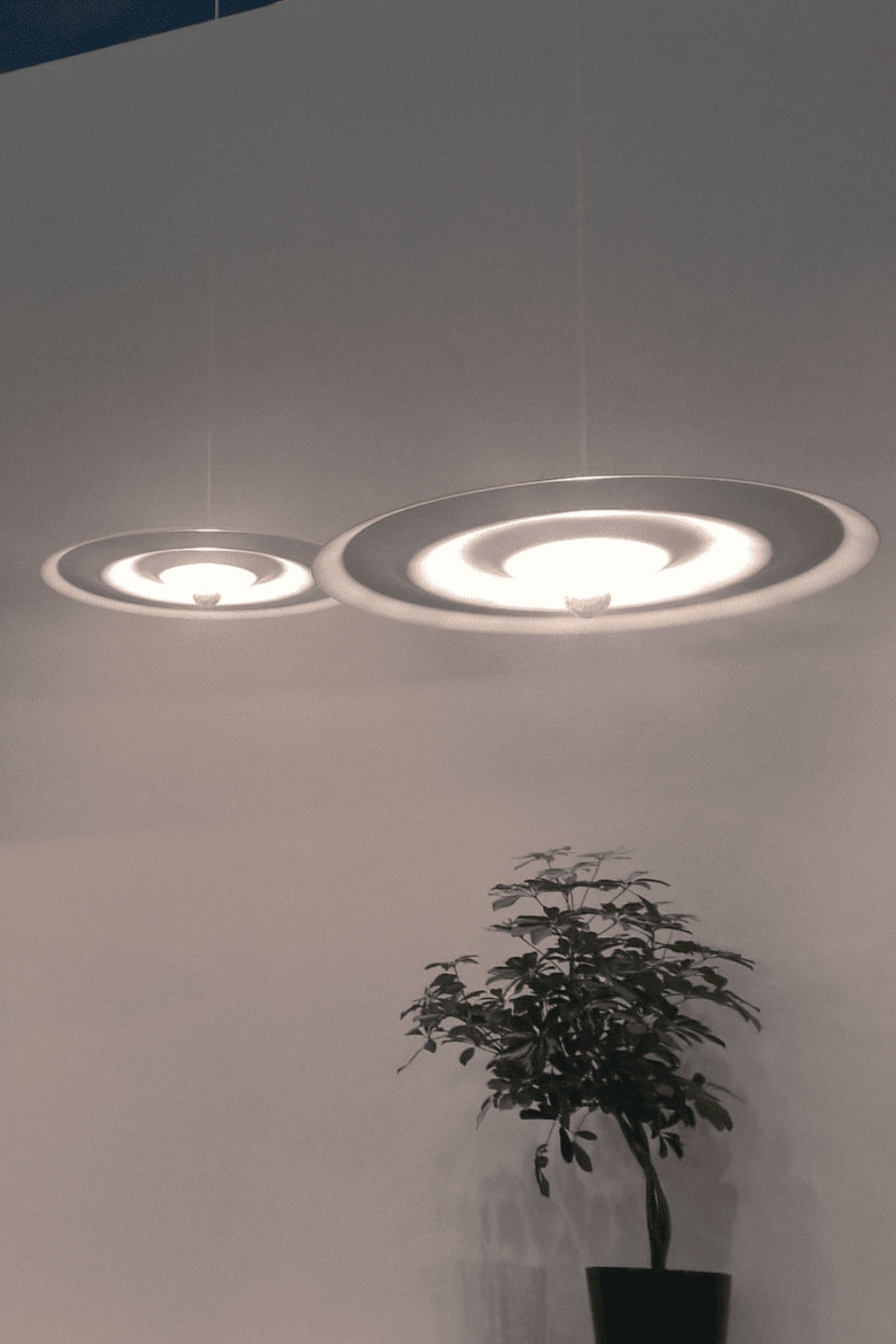 Alma pendant lamp - morylighting