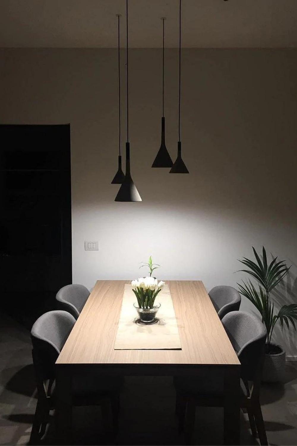 Aplomb Pendant Lamp - morylighting