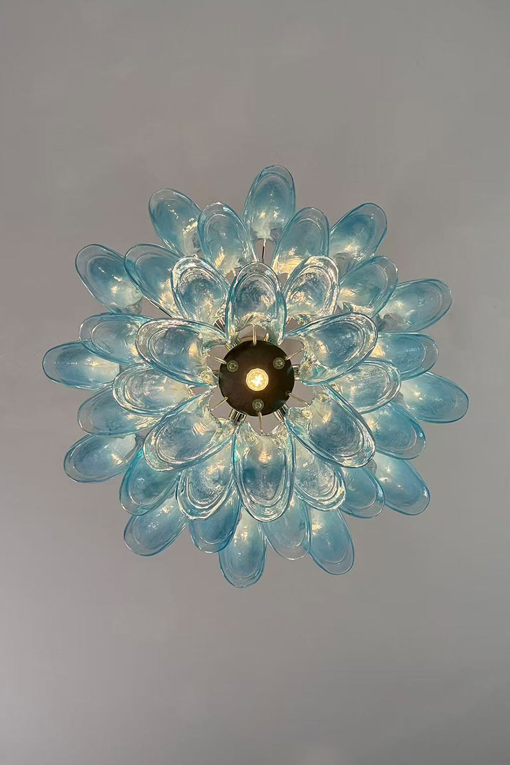 Azurea Petal Glass Chandelier |Glass detail | Samu  Lamp