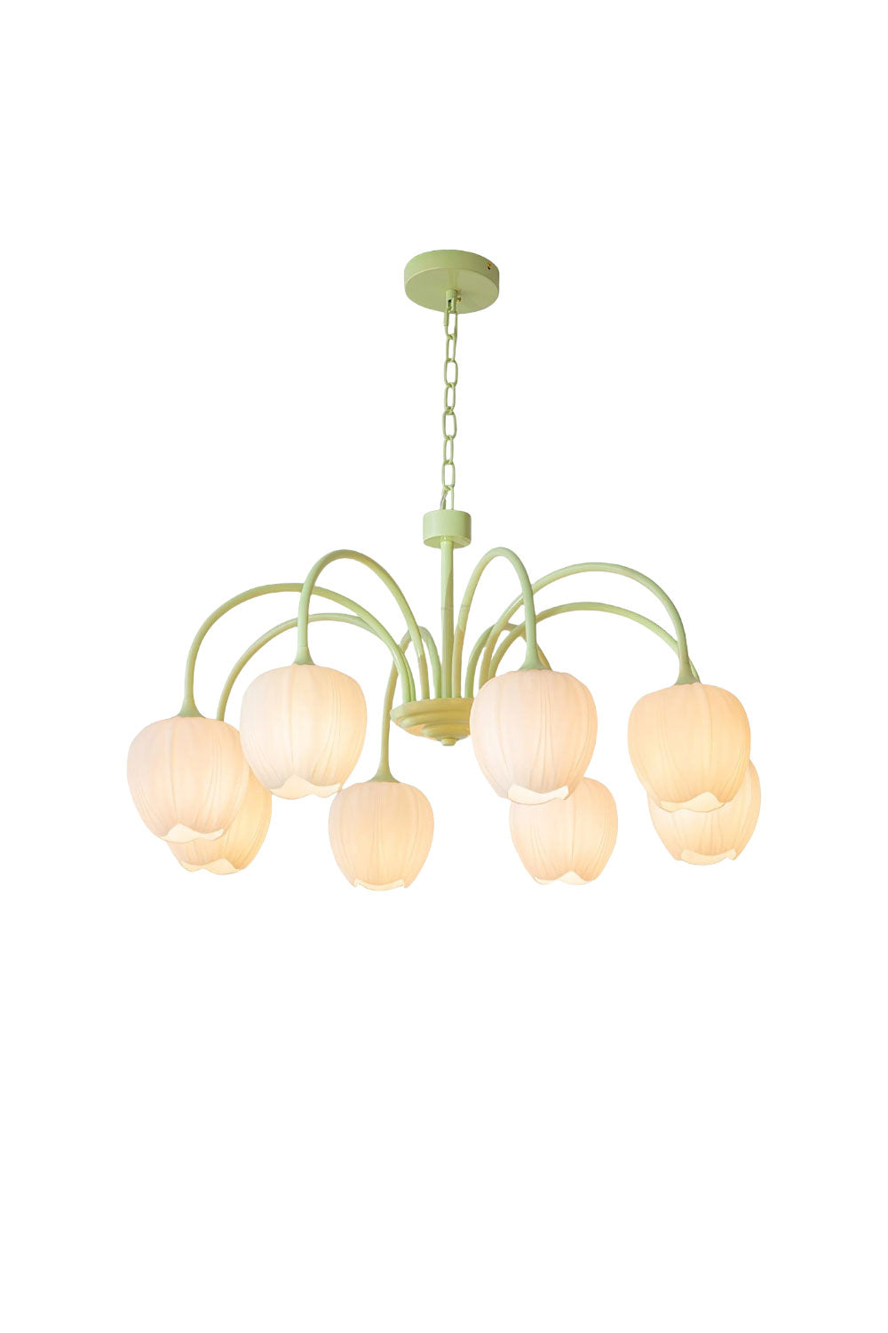 Blossom Tulip Matcha Chandelier | morylighting