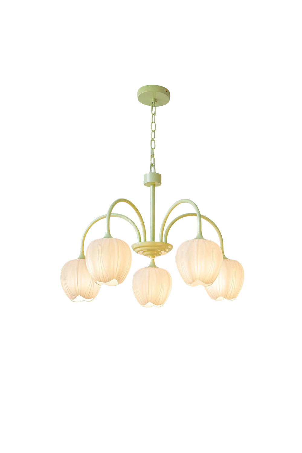 Blossom Tulip Matcha Chandelier - view 14 | morylighting