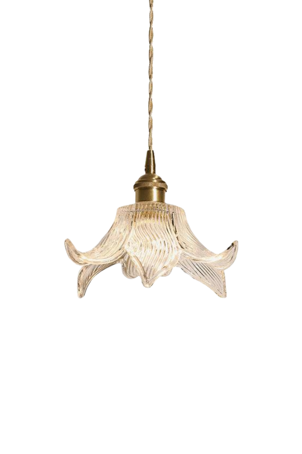 Clear Petal Glass Pendant Lamp | morylighting