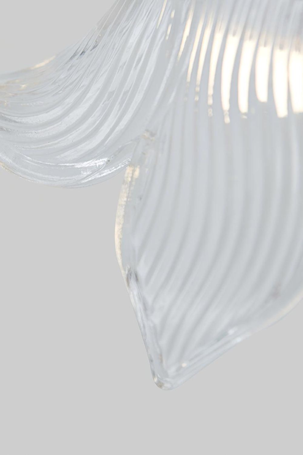 Clear Petal Glass Pendant Lamp - view 13 | morylighting