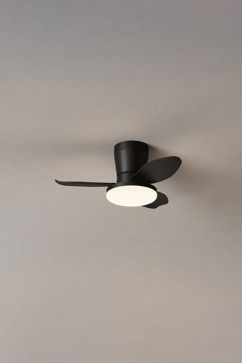 Corin Low-Profile Ceiling Fan Light in black, featuring sculpted blades and a soft LED light for ambient illumination.