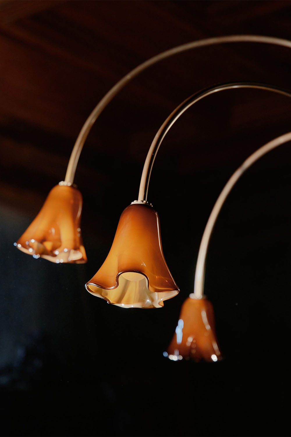 Flora Tulip Series Chandelier - view 17 | morylighting