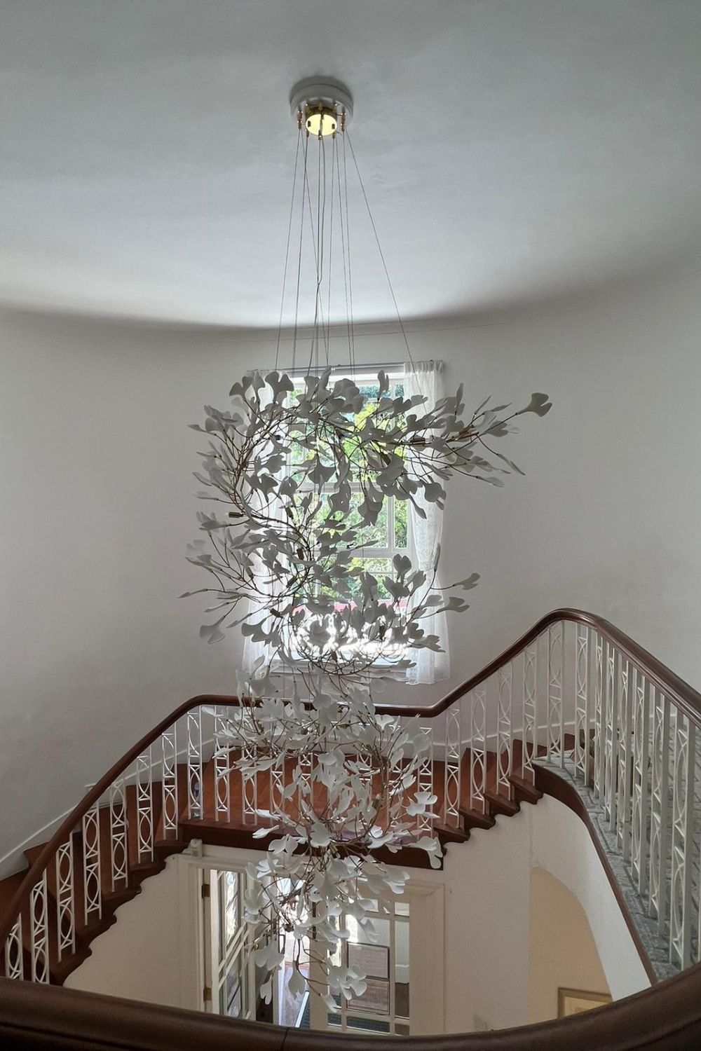 Gingko Chandelier F - morylighting