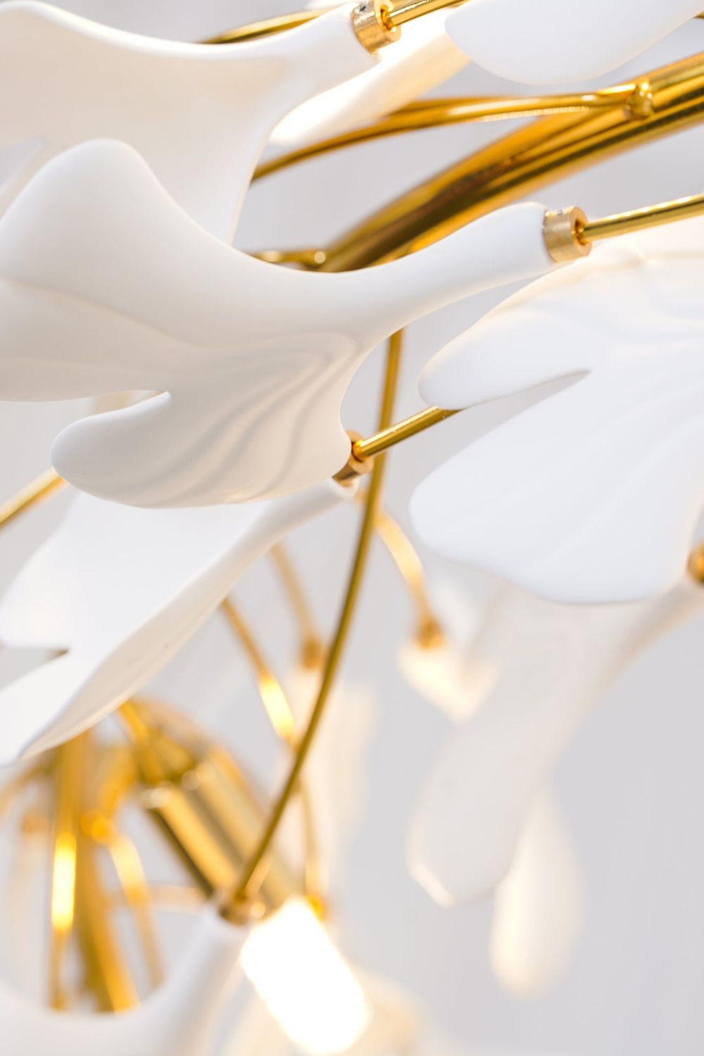 Gingko Chandelier U - morylighting