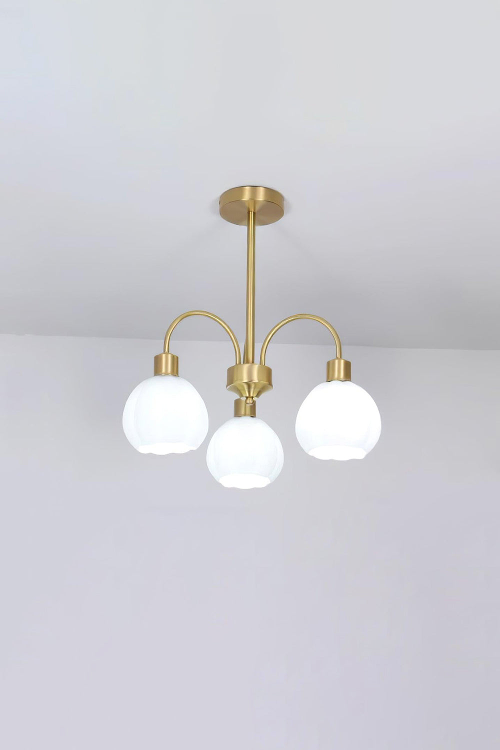 Golden Tulip Pendant Chandelier - view 11 | morylighting