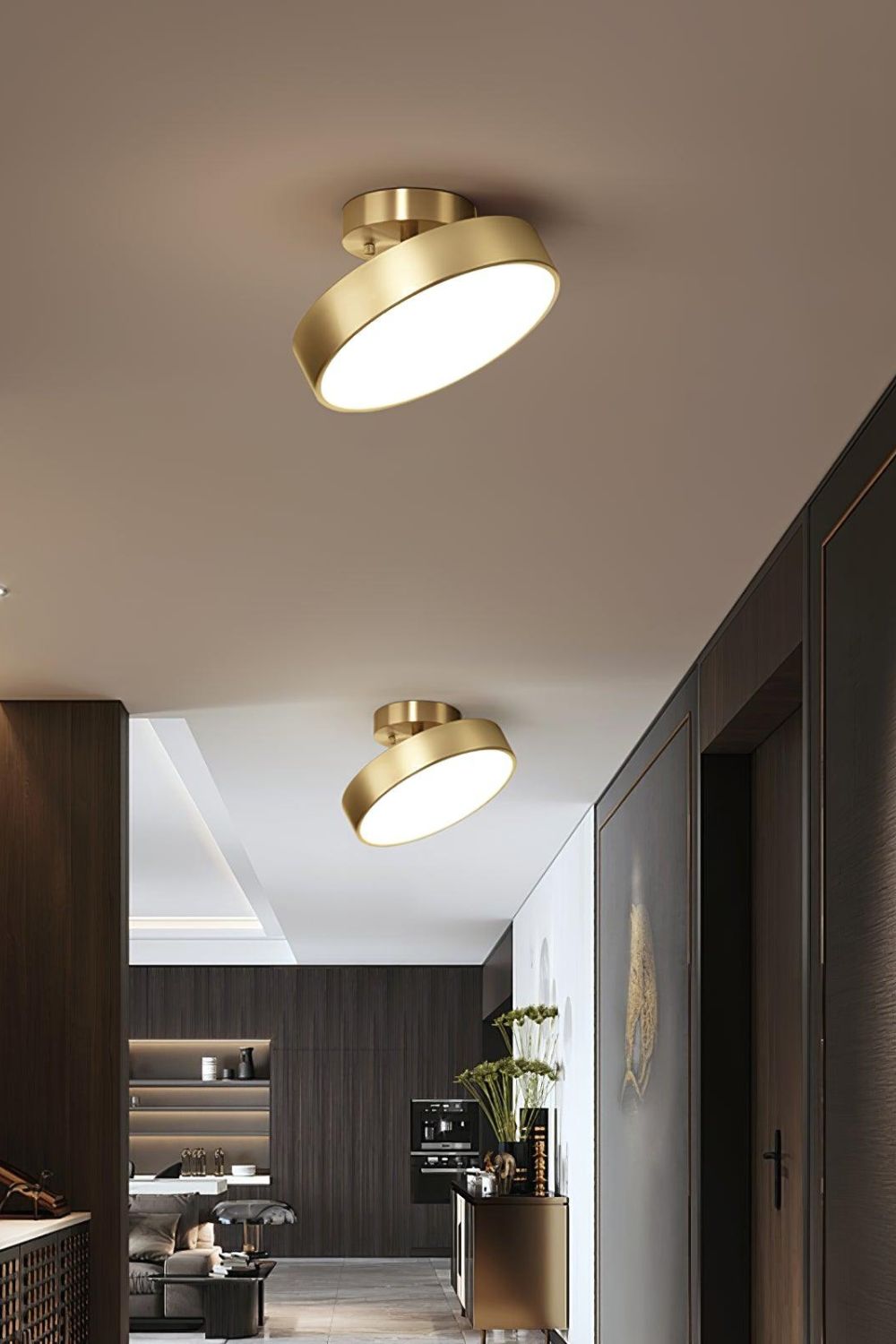 Brass Hero Rotating Ceiling Lamp - view 5 | morylighting