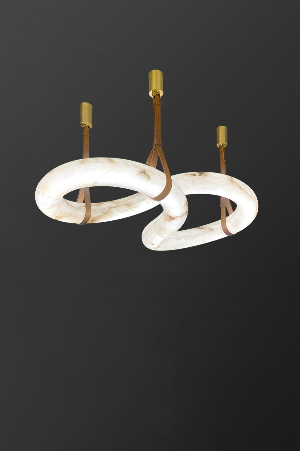 Loop Hanging Light - morylighting