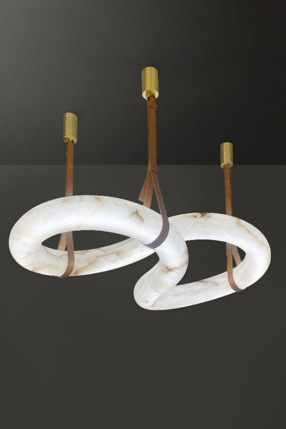 Loop Hanging Light - morylighting