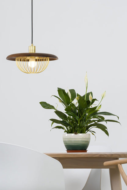 Kasa Pendant Lamp - morylighting