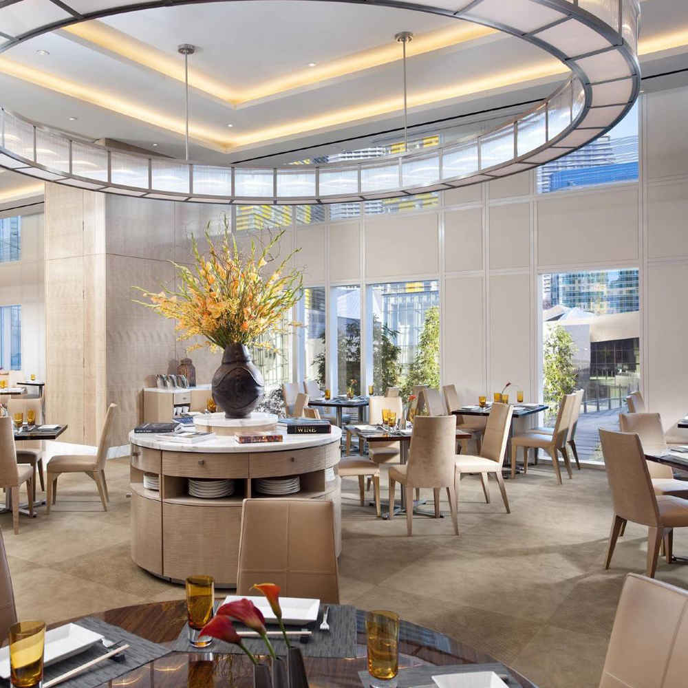 Large round ring chandelier