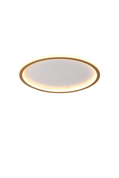 Minimalist Ceiling Lights | morylighting