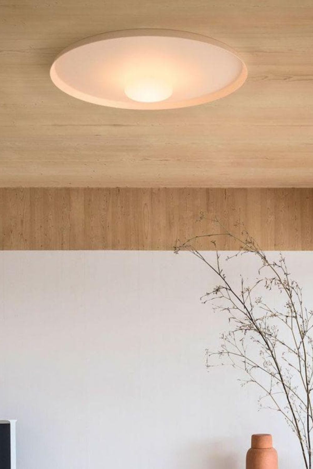 OLEV Overfly Plus Ceiling Light - view 7 | morylighting