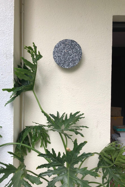 Pin Wall Lamp - morylighting