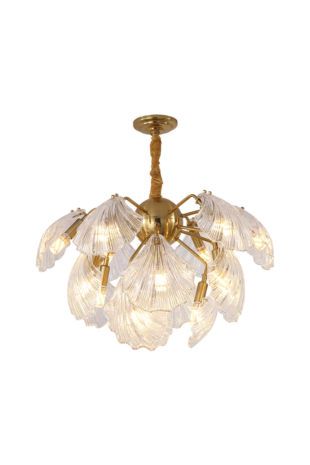 Ribbed Shell Chandelier - morylighting