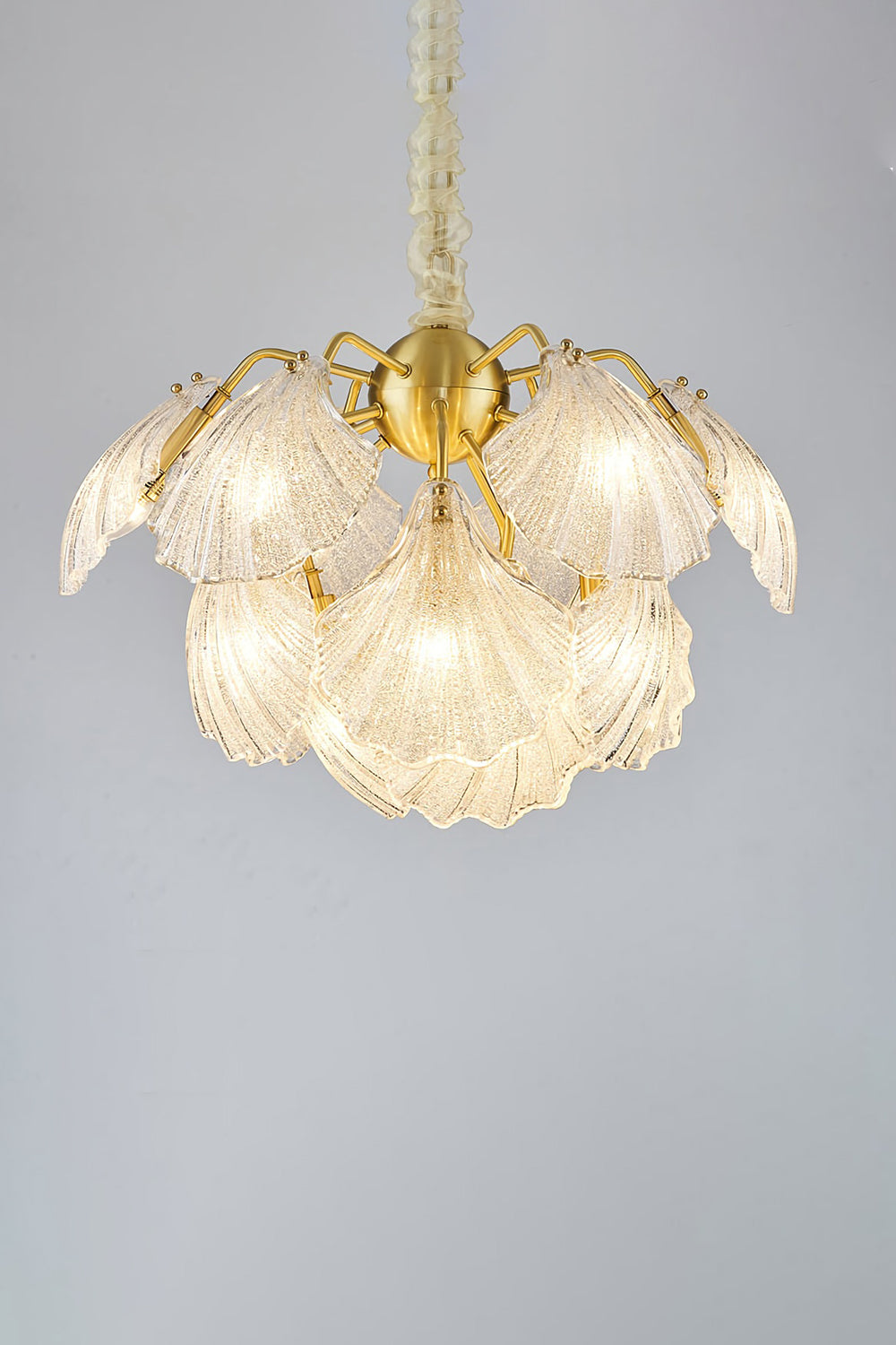 Ribbed Shell Chandelier - morylighting