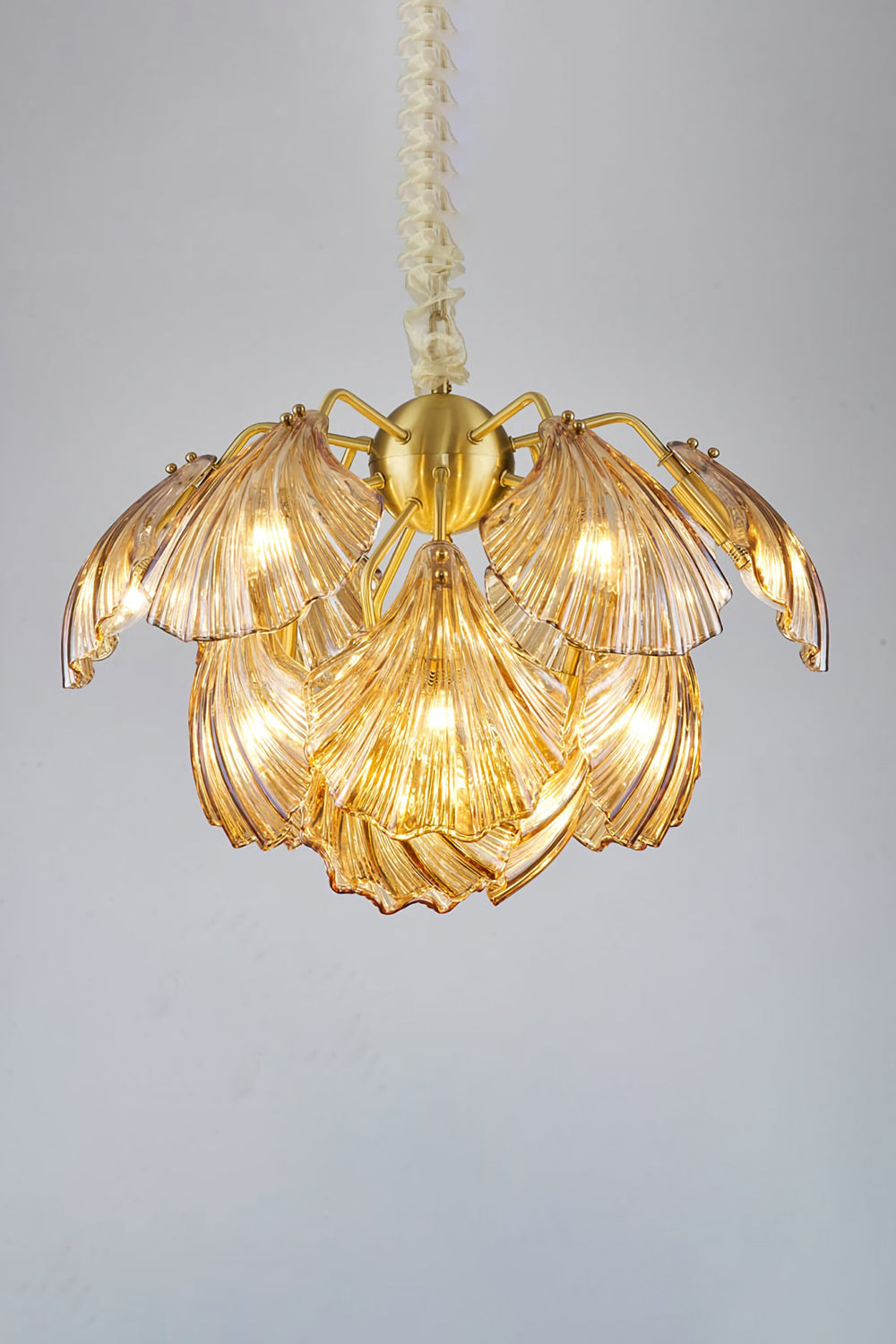 Ribbed Shell Chandelier - morylighting