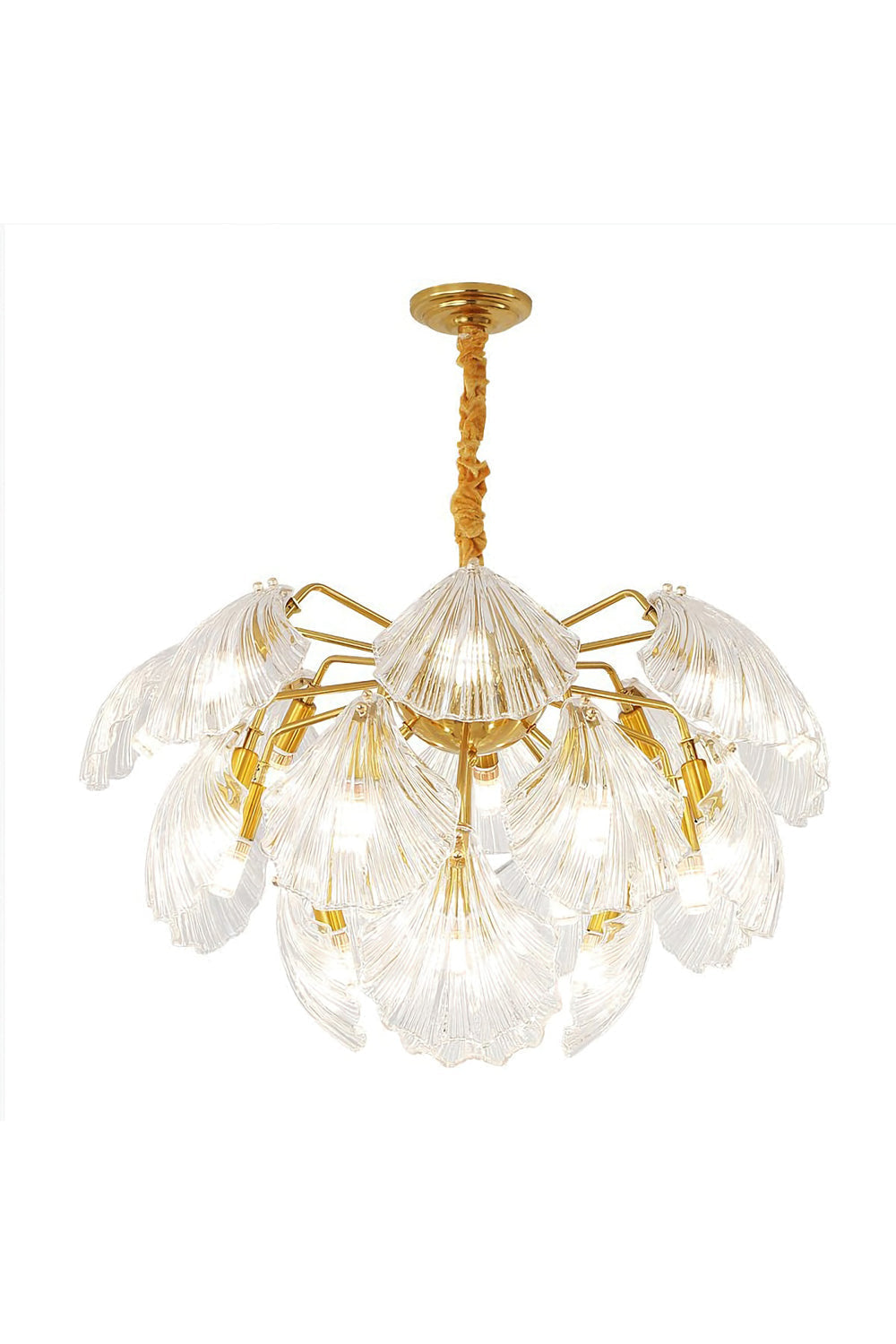 Ribbed Shell Chandelier - morylighting