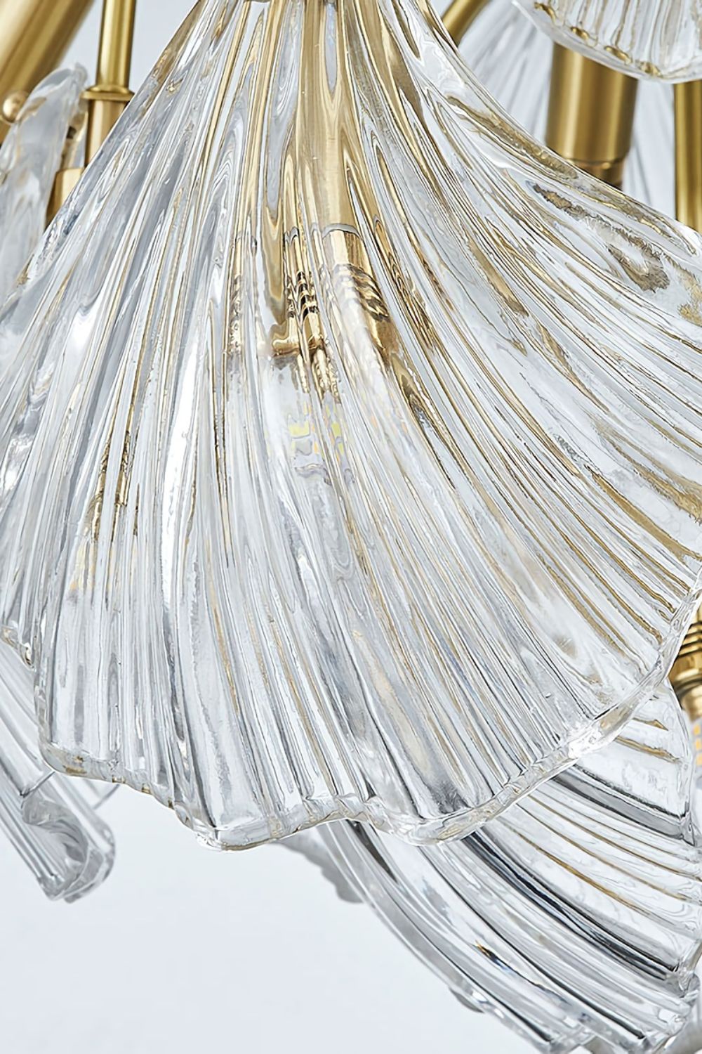 Ribbed Shell Chandelier - morylighting