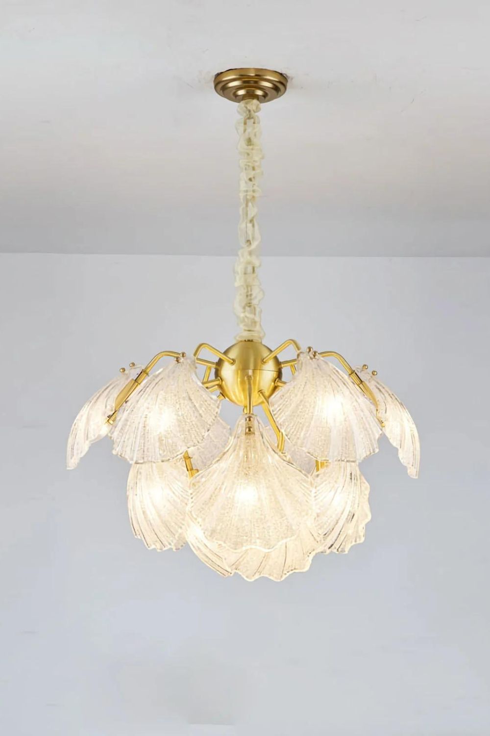 Ribbed Shell Chandelier - morylighting