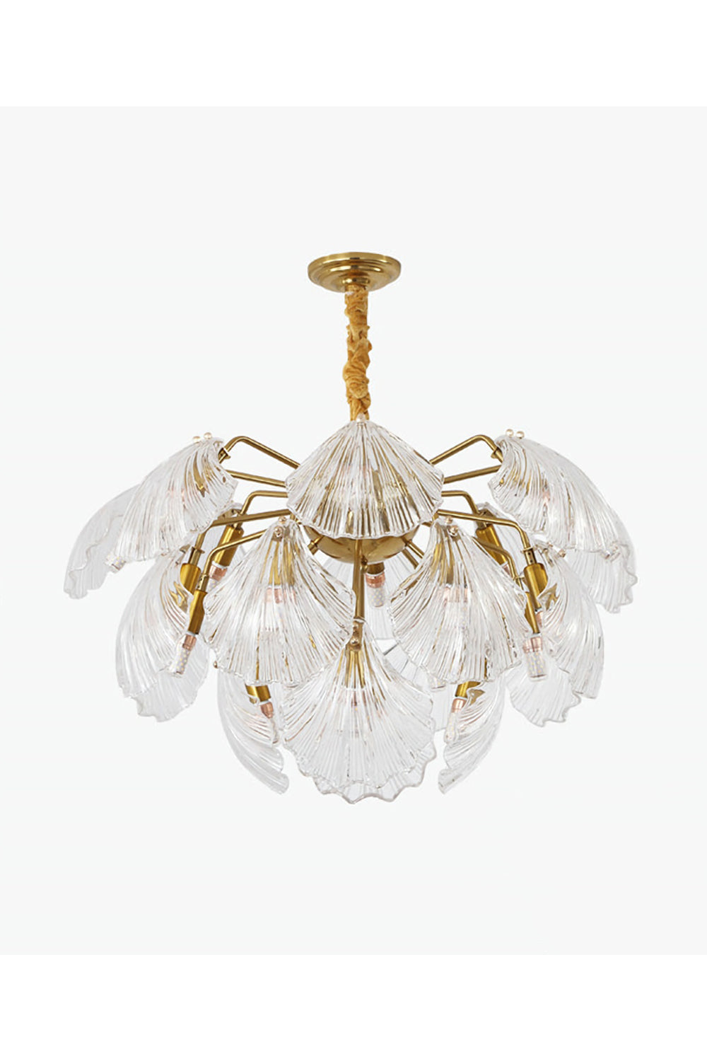 Ribbed Shell Chandelier - morylighting