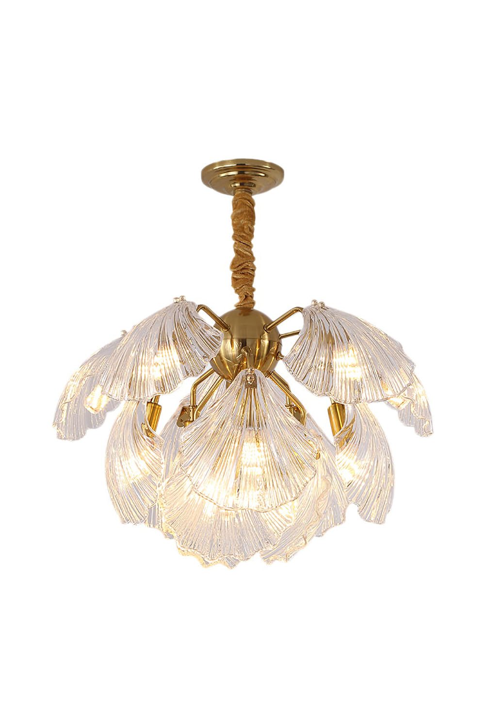 Ribbed Shell Chandelier - morylighting