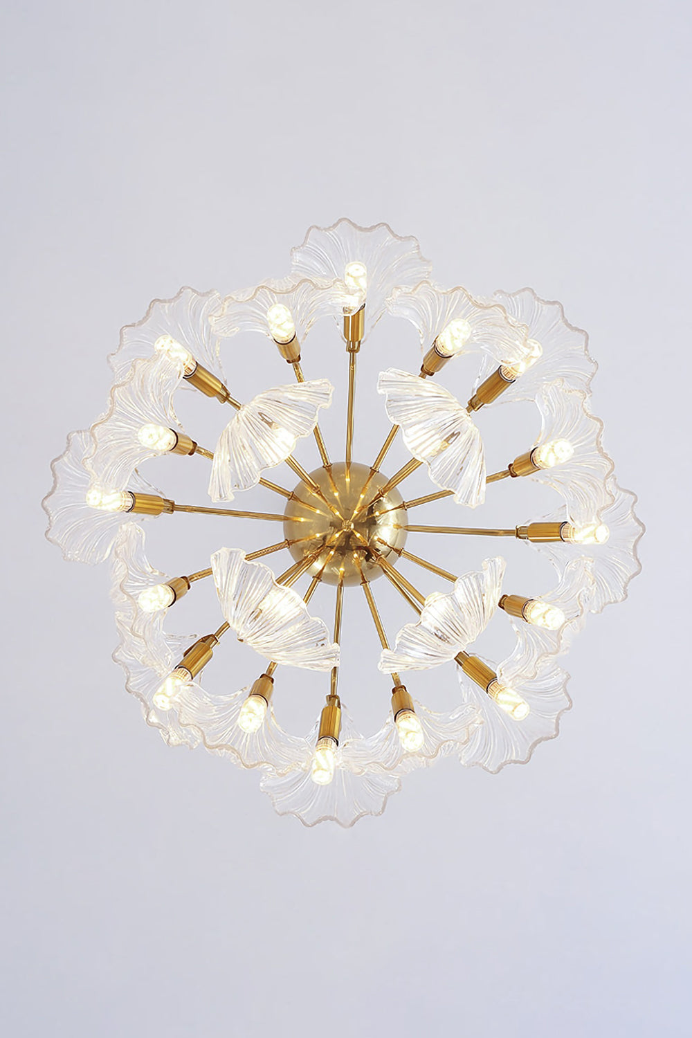 Ribbed Shell Chandelier - morylighting