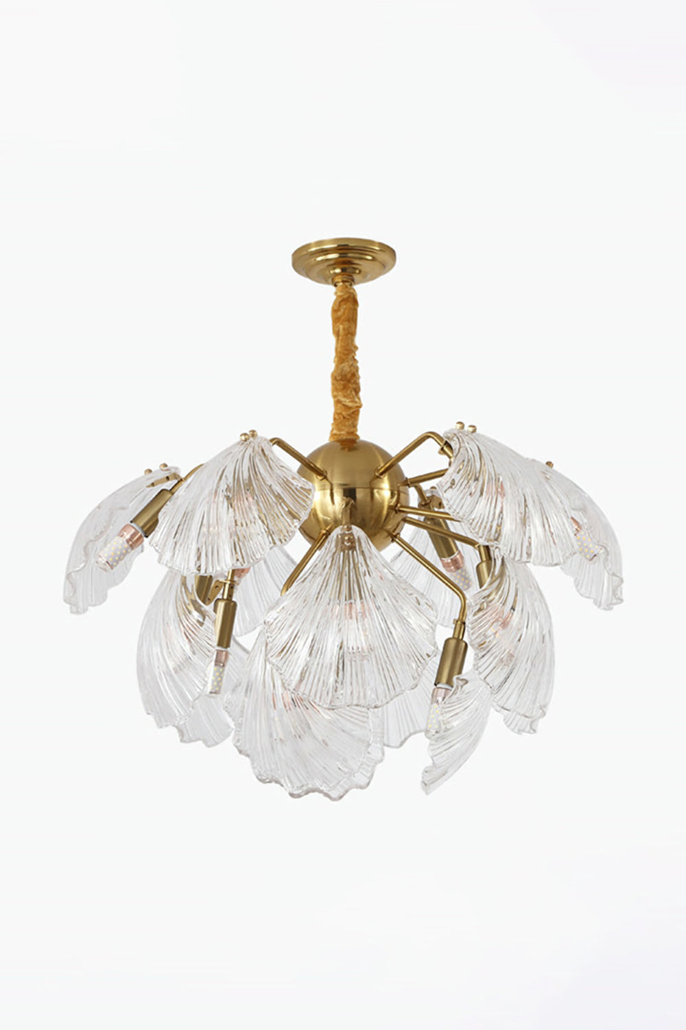 Ribbed Shell Chandelier - morylighting