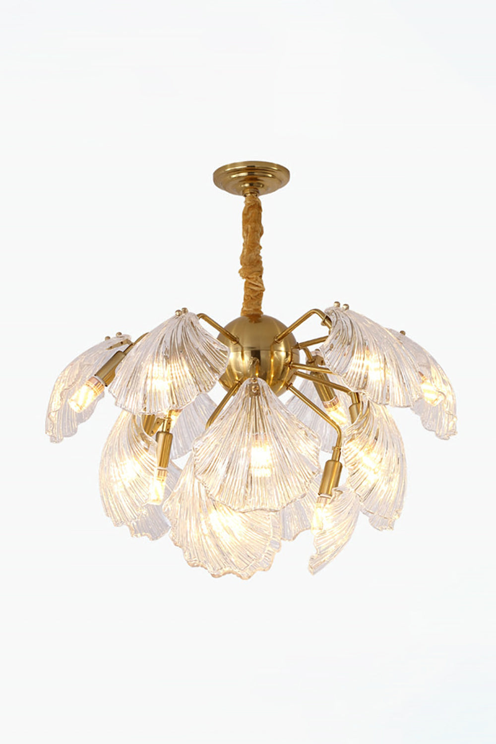 Ribbed Shell Chandelier - morylighting