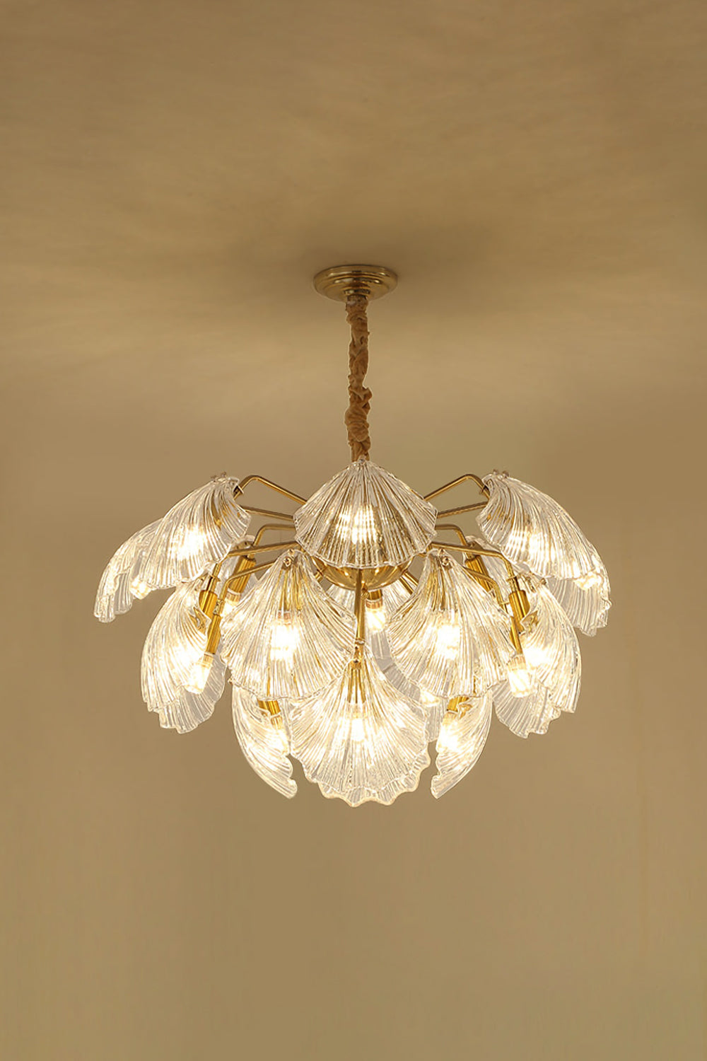 Ribbed Shell Chandelier - morylighting