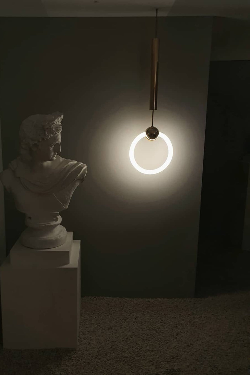 Ring Pendant Light - morylighting