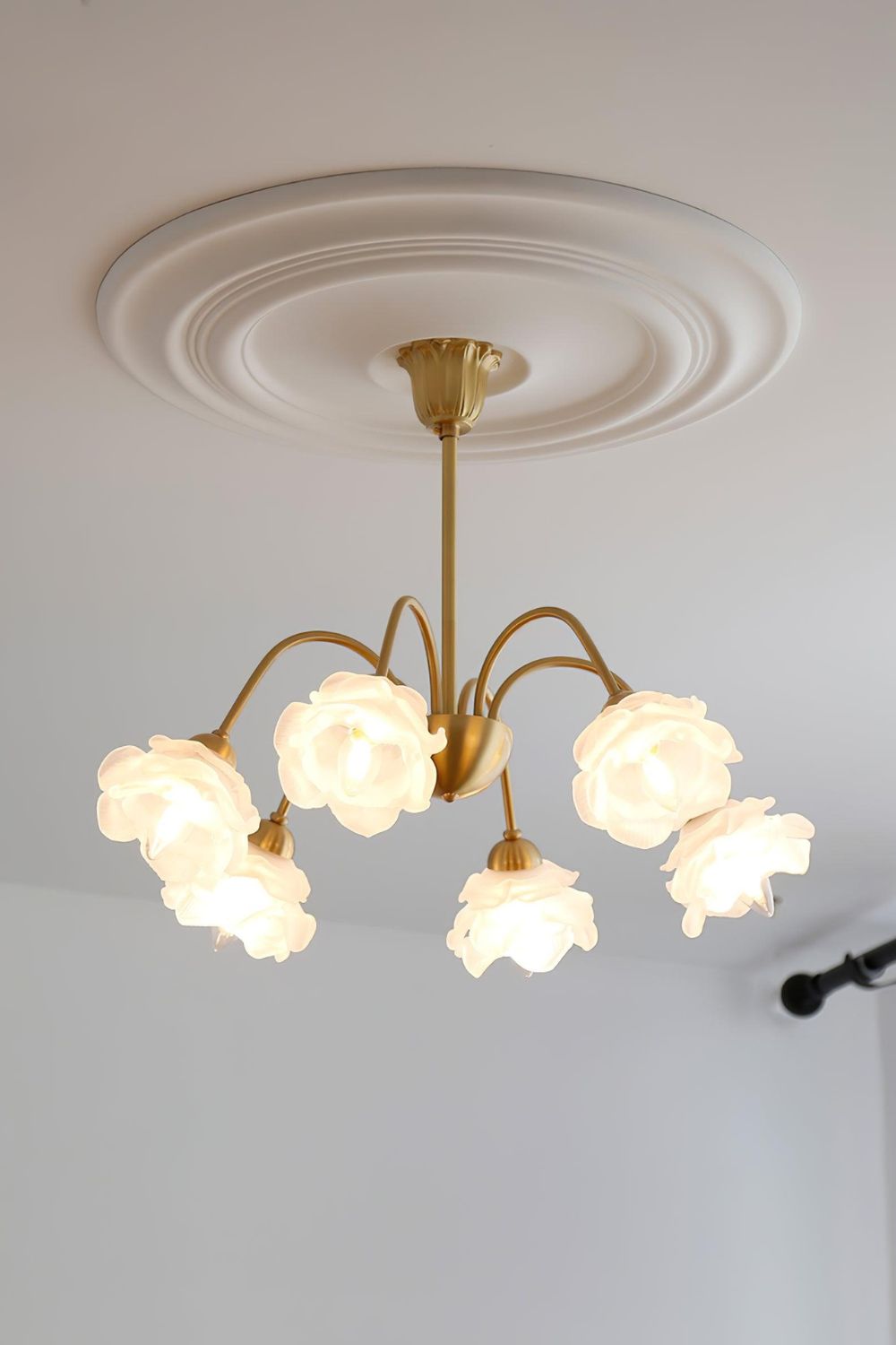 Roses Chandelier - morylighting
