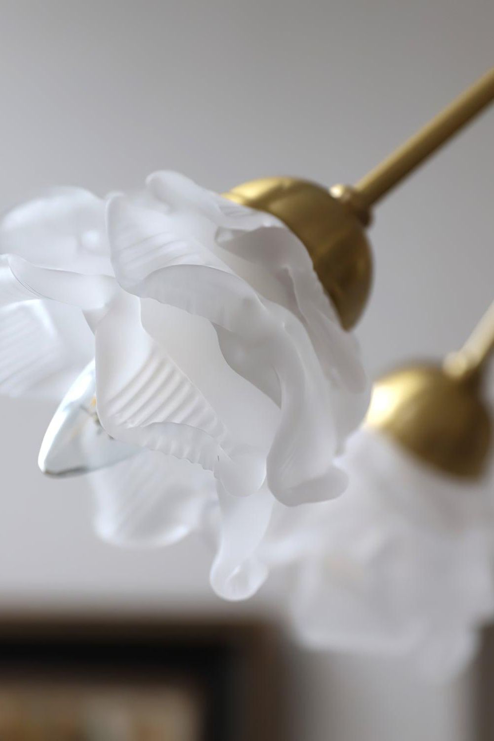 Roses Chandelier - morylighting
