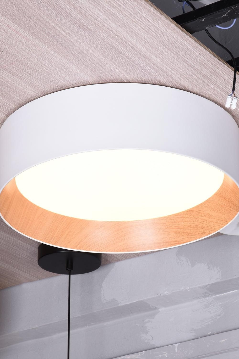 Round Ceiling Lamp - view 20 | morylighting
