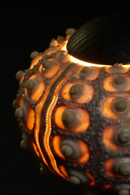 Sea Urchin Table Lamp - view 14 | morylighting