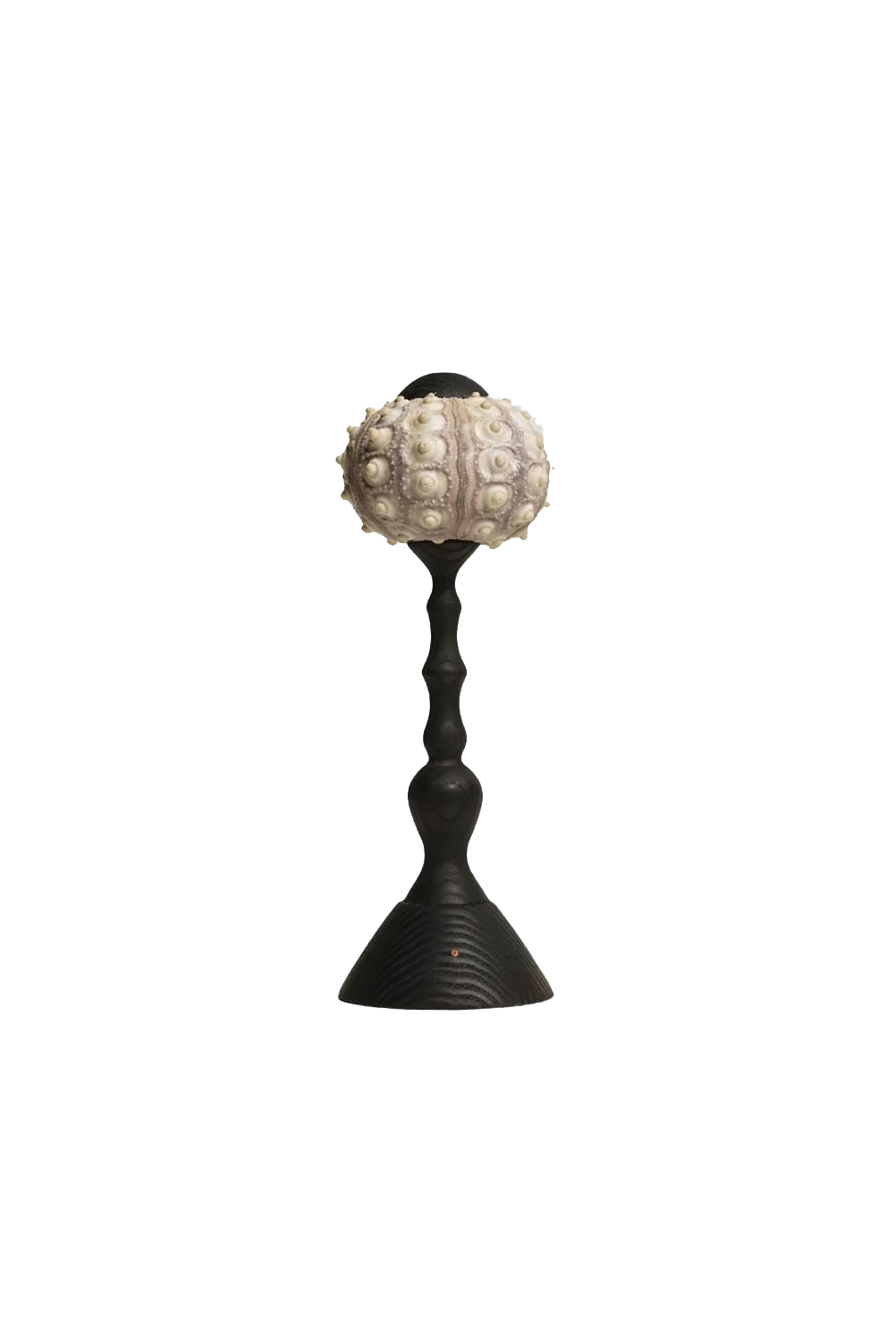 Sea Urchin Table Lamp | morylighting