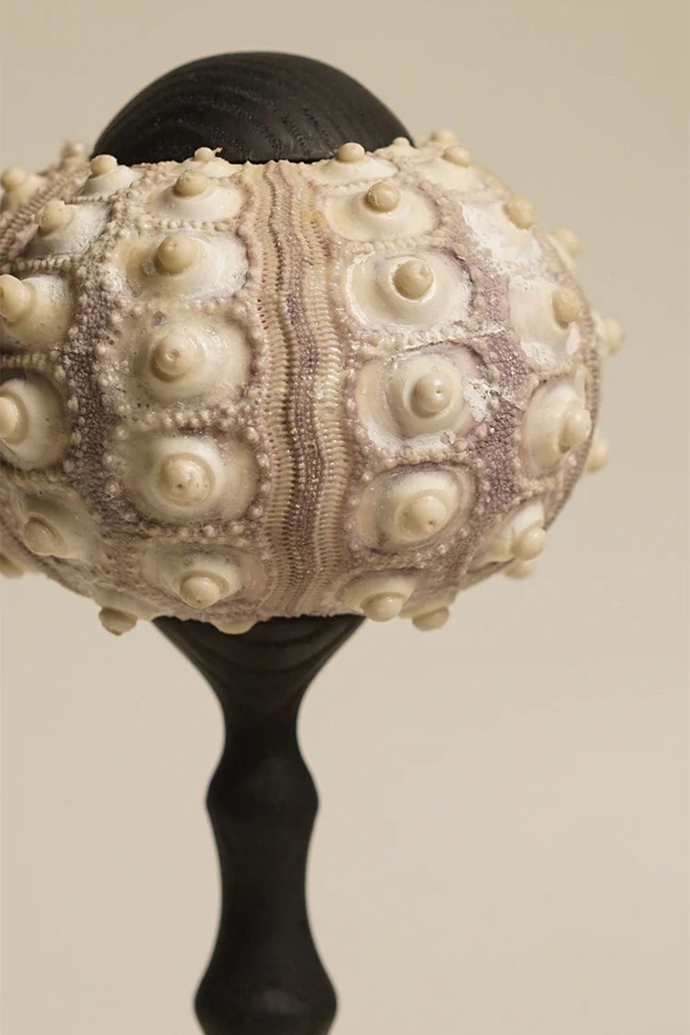 Sea Urchin Table Lamp - view 9 | morylighting