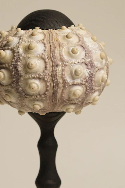 Sea Urchin Table Lamp - view 9 | morylighting