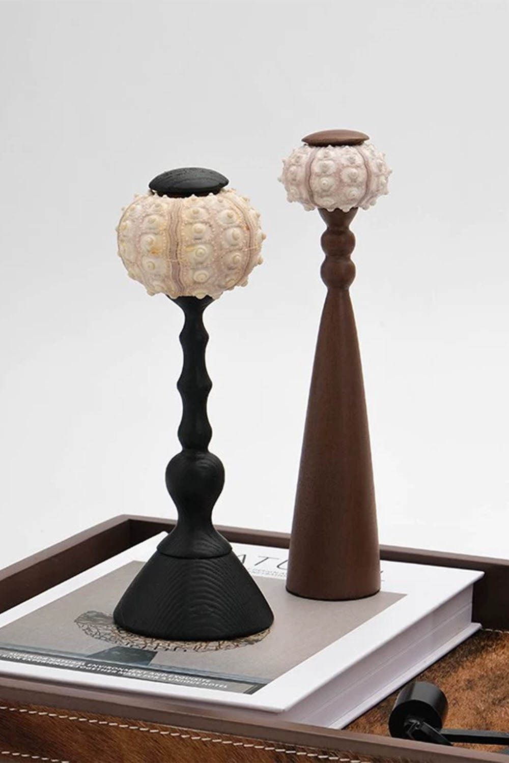 Sea Urchin Table Lamp - view 11 | morylighting