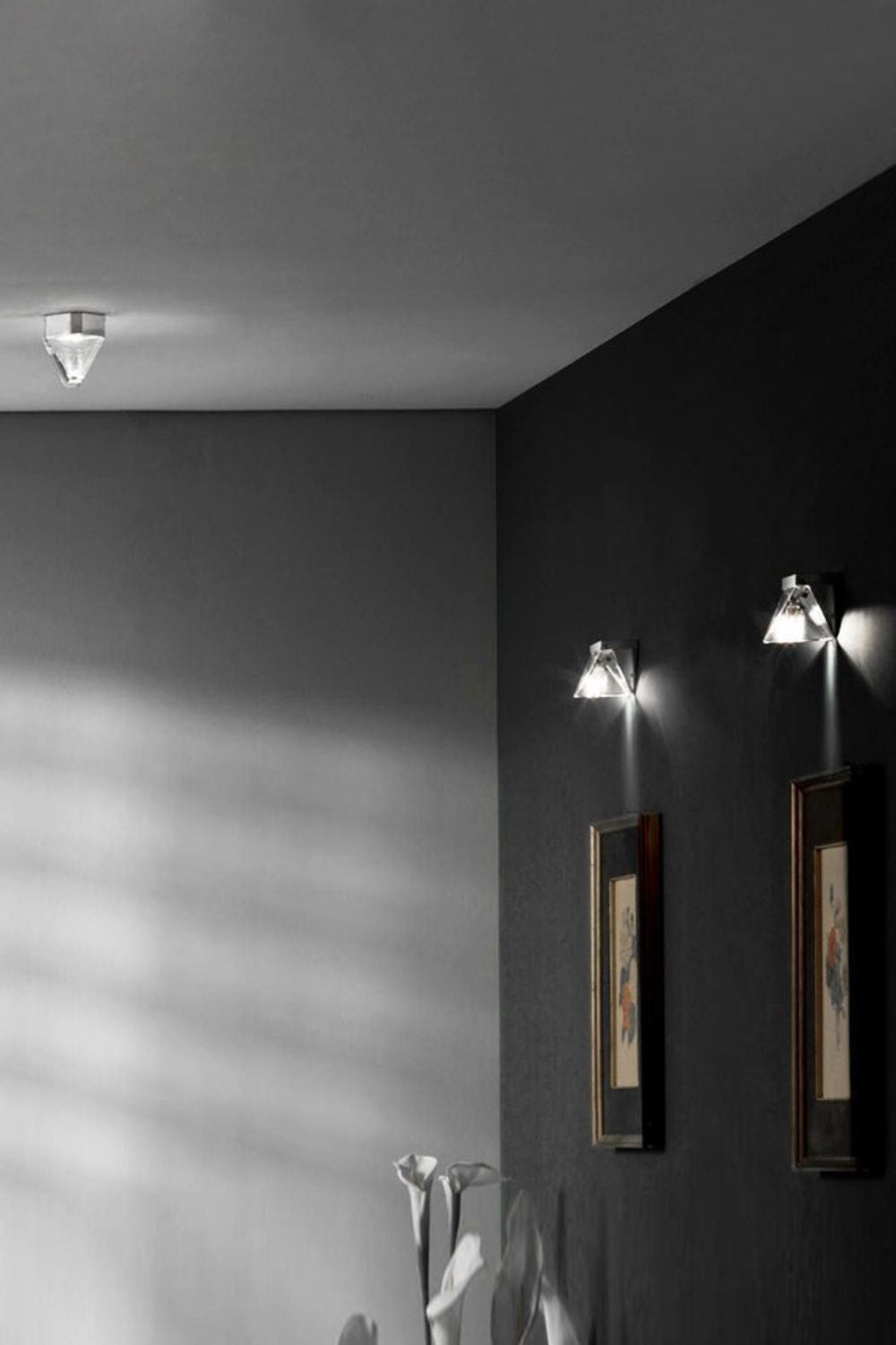 Tripla Ceiling light - morylighting