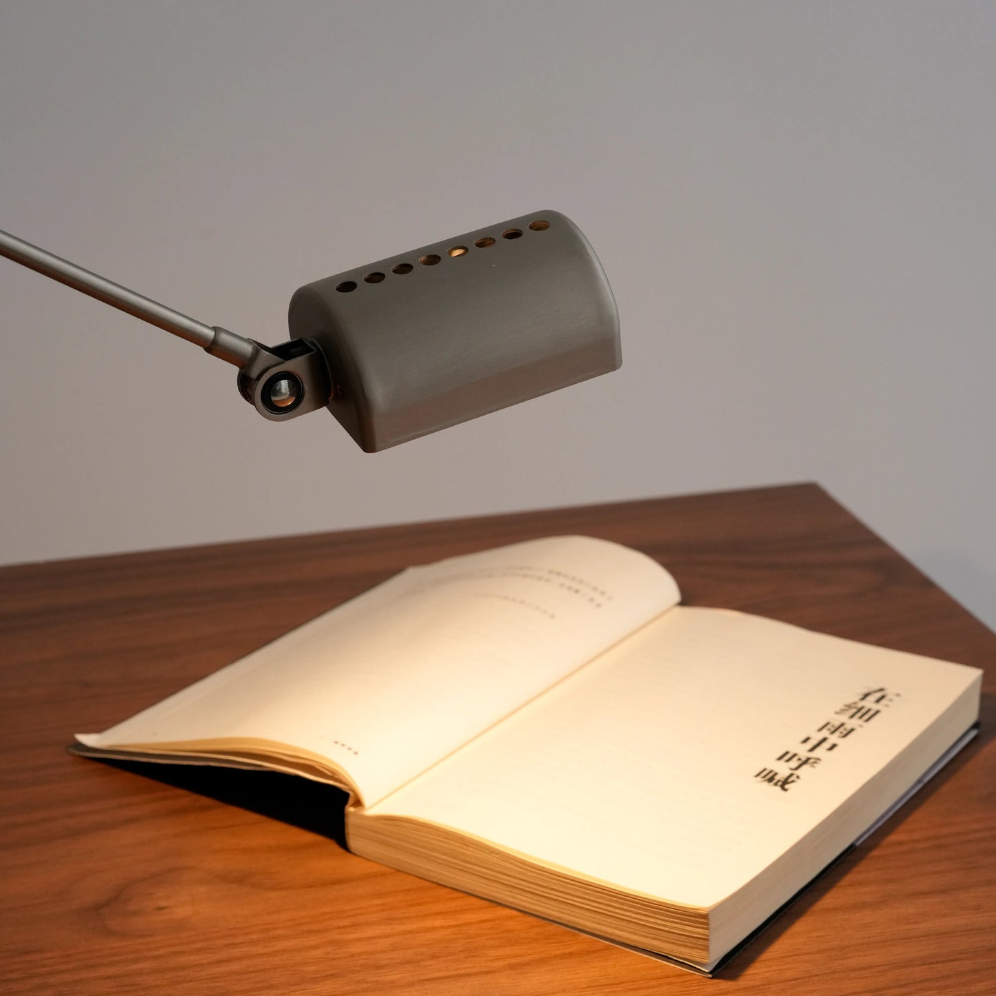 Adjustable Balance Arm Task Lamp